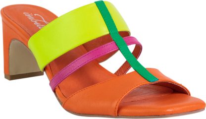 Pacific - Multi Color - Image 2