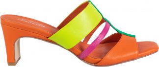 Pacific - Multi Color