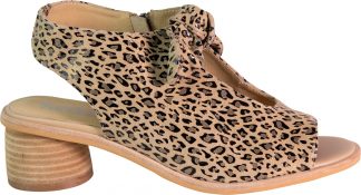 Ivy - Leopard