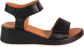 Ferrara - Black