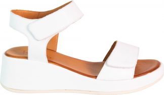 Ferrara - White